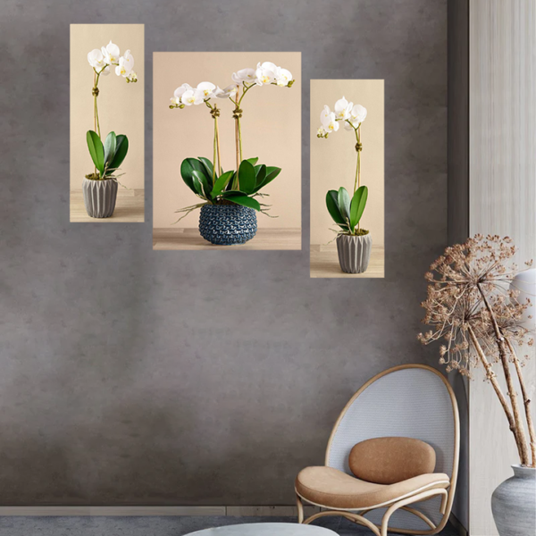 Set Of 3